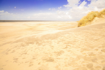 Goldener Strand am Noordsee mit blauem Himmel