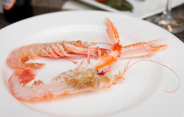 Scampi cut in halves