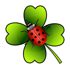 Vector ladybug on clover