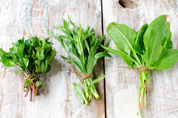 Fresh mint , tarragon , sage and spinach