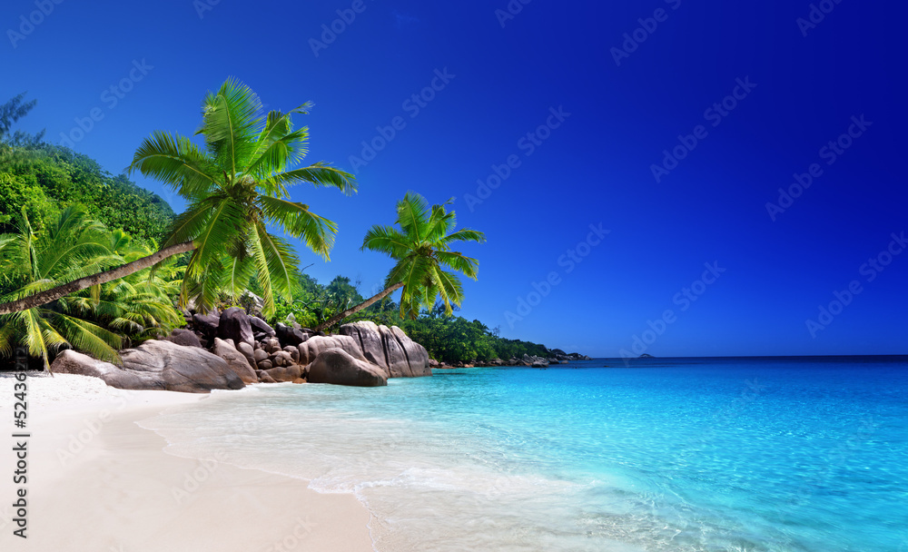 Wall mural beach at praslin island, seychelles