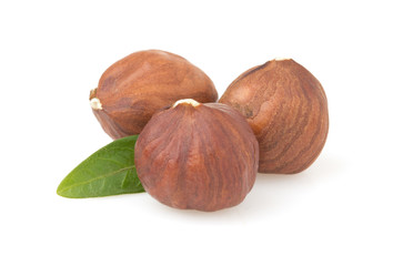 hazelnut nut on white