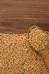 mustard and spoon on wood