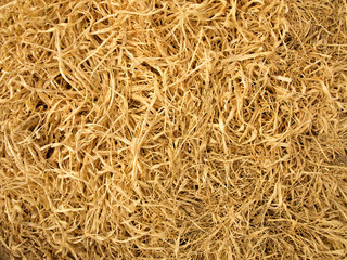dry grass