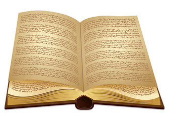 Obraz premium Open ancient Book