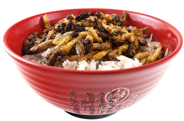 bol de riz et guêpes frites