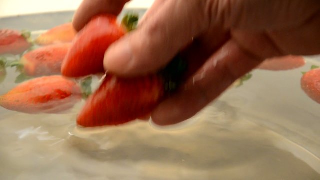 52439254