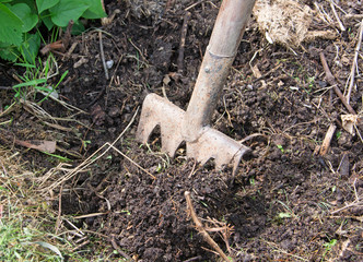 Gartenarbeit