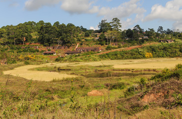 Fototapeta na wymiar Rice Fields in Burma