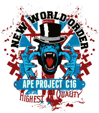 Ape project C16