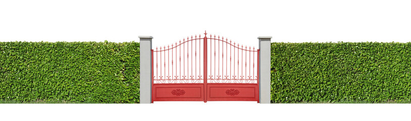 partail rouge avec haie de lauier,