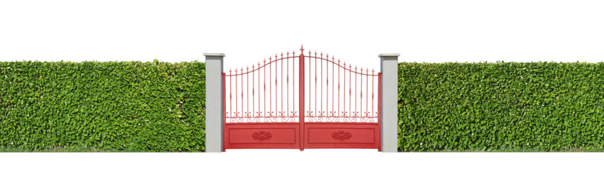 partail rouge avec haie de lauier,