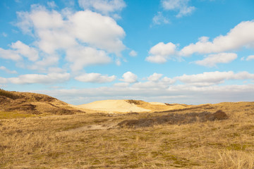 Grassy dune landscape with blue cloudy sky.