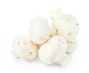 White fresh raw champignon mushroom  closeup on white background