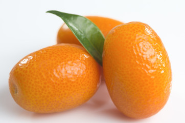 kumquat for you