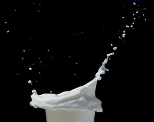 Splashing milk black isolated