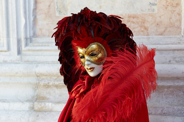 Venetian costume attends Carnival of Venice.