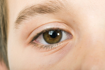 Human eye