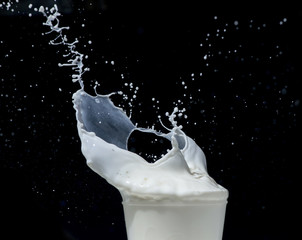 Splashing milk on black background
