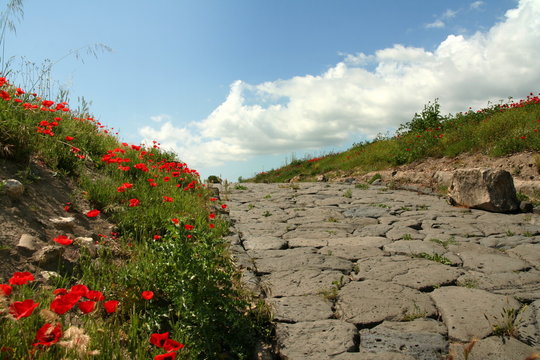 Strada etrusca