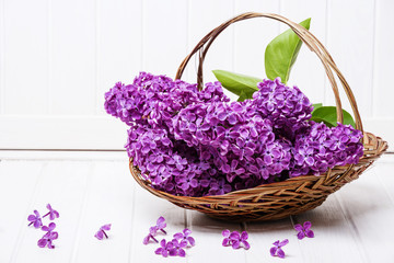 Fototapeta na wymiar pink lilac in a basket on a white wooden background