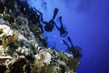 Gordijnen Duiken Lionfish and Scuba Divers at Elphinstone  © feel4nature