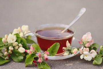 Cup of tea with blooming apple tree branch