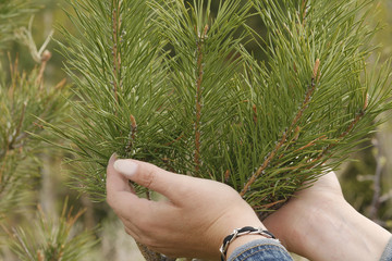 protection of nature