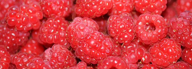 raspberry background texture