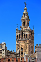 Fototapeta na wymiar La Giralda, słynnej katedry w Sewilli w Andaluzji