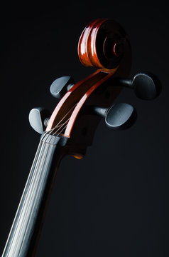 Violin on the black background