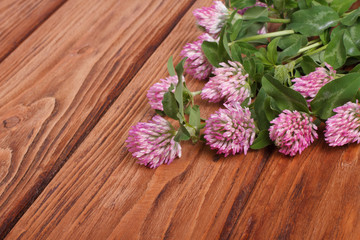 Fototapeta na wymiar Clover flowers on a brown wooden table