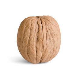 one walnut