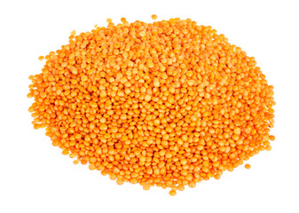 red lentils isolated on white