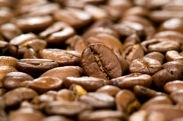 Brown background of coffee beans