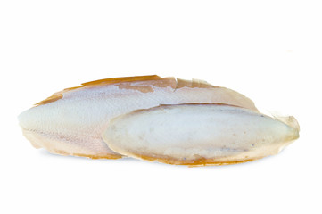 The internal shell or bone of dead cuttlefish
