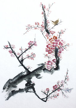 Fototapeta plum tree blossom