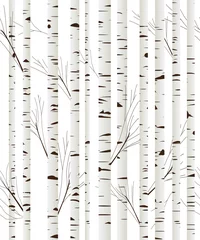 Printed roller blinds Birch trees Birchwood background