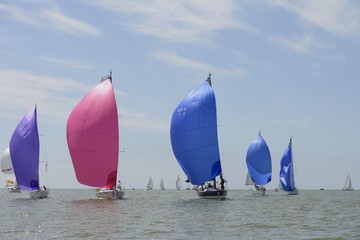 voiliers
