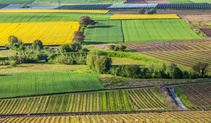 Swiss Farmland