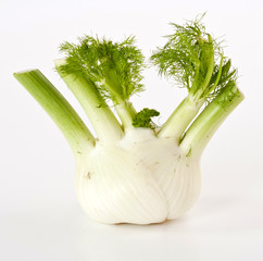 Fennel