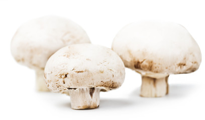 Champignon mushrooms  isolated on white background
