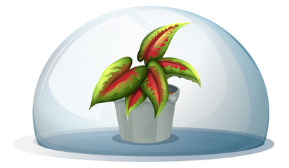 A dome with a plant inside a gray pot © GraphicsRF