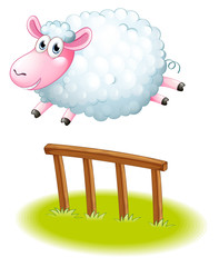 A sheep jumping