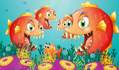 Fototapeta na wymiar A school of piranha under the sea
