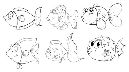 Different fishes in a doodle design