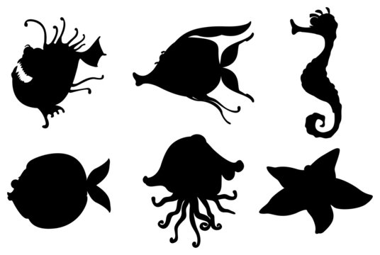 Silhouettes of sea creatures