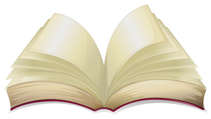An empty book