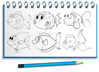 A notebook with a doodle design at the cover page