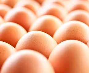 Eggs in a carton box